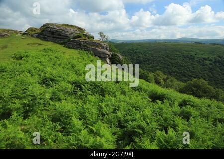 Vue d'été sur Bench tor, parc national de Dartmoor, Devon, Angleterre, Royaume-Uni Banque D'Images