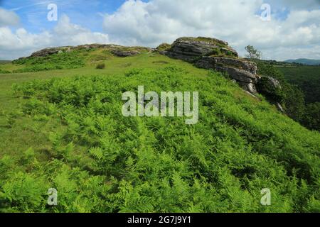 Vue d'été sur Bench tor, parc national de Dartmoor, Devon, Angleterre, Royaume-Uni Banque D'Images