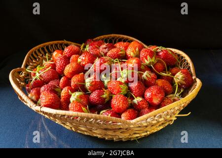 Fraises dans un panier en osier sur la table avec un reflet de la nourriture sur un fond noir Banque D'Images