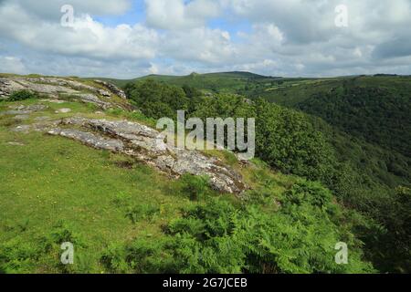 Vue d'été sur Bench tor, parc national de Dartmoor, Devon, Angleterre, Royaume-Uni Banque D'Images