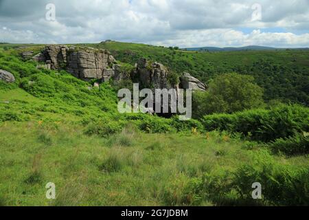 Vue d'été sur Bench tor, parc national de Dartmoor, Devon, Angleterre, Royaume-Uni Banque D'Images