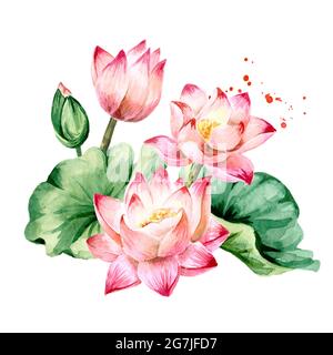 Bouquet de fleurs de Lotus rose avec des feuilles vertes. Illustration d'aquarelle botanique dessinée à la main isolée sur fond blanc Banque D'Images