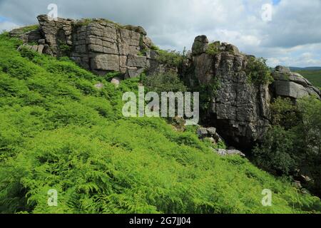 Vue d'été sur Bench tor, parc national de Dartmoor, Devon, Angleterre, Royaume-Uni Banque D'Images