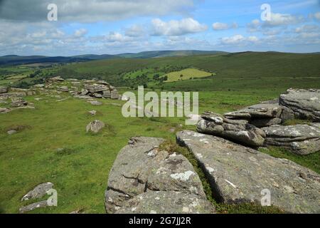 Vue d'été Yar tor vers Babeny, parc national de Dartmoor, Devon, Angleterre, Royaume-Uni Banque D'Images