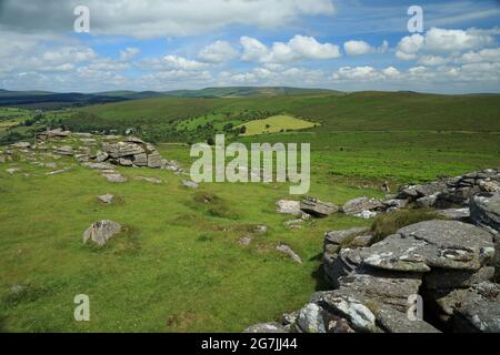 Vue d'été Yar tor vers Babeny, parc national de Dartmoor, Devon, Angleterre, Royaume-Uni Banque D'Images