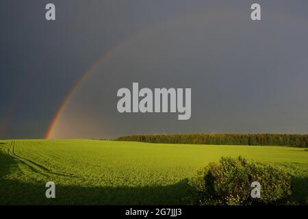 Arc-en-ciel dans un champ vert contre un ciel sombre de tempête Banque D'Images