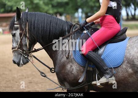 Un concurrent inconnu qui se trouve sur le show pull Horse à l'occasion de l'événement d'équitation, heure d'été. Afficher le cheval de saut sous selle en action Banque D'Images