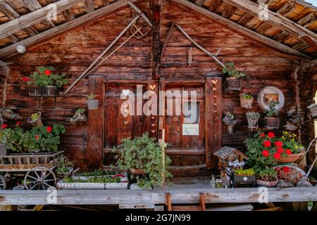 Détails et fleurs dans une maison traditionnelle en bois - Gimmelwald - Vallée de Lauterbrunnen - région de Jungfrau en été - Alpes suisses, Suisse Banque D'Images