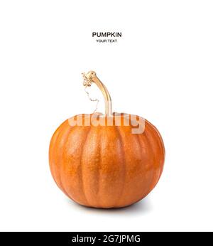 Citrouille avec une tige sèche isolée sur un fond blanc. Banque D'Images
