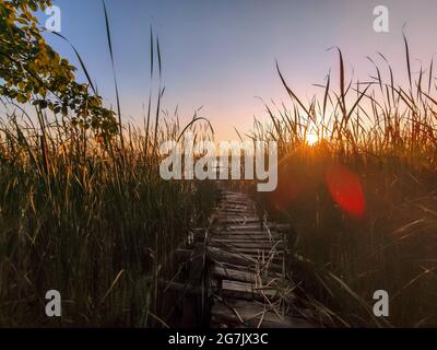 coucher de soleil sur la rivière. chemin à travers le roseaux au lever du soleil. Lumière du soleil à travers le roseau. Paysage d'automne Banque D'Images