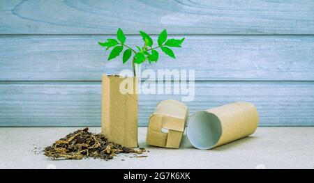 pots à semences fabriqués à partir de tubes de rouleaux de toilettes recyclés, avec semis de tomates, jardinage durable fait maison Banque D'Images