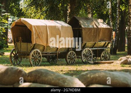 Russie soviétique de la Seconde Guerre mondiale des chariots de paysans dans la forêt. Équipement de la Seconde Guerre mondiale de l'Armée rouge Banque D'Images