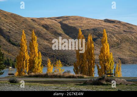 Scène idyllique du lac de tekapo à l'aube, le lac de tekapo est le lieu d'attraction le plus célèbre de l'île du sud de la Nouvelle-Zélande. Banque D'Images