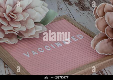 Panneau de feutre rose sur une surface en bois avec des lettres blanches disant quelque chose en relation avec le vaccin avec de grandes fleurs autour Banque D'Images