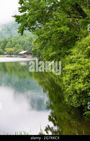 Vue pittoresque et sereine sur le parc national de Vogel, le long du rivage du lac Trahlyta, dans les montagnes de la Géorgie du Nord, près de Blairsville, en Géorgie. (ÉTATS-UNIS) Banque D'Images