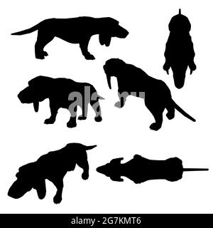 Ensemble avec silhouettes d'un chien avec de longues oreilles dans différentes positions isolées sur un fond blanc. Illustration vectorielle. Illustration de Vecteur