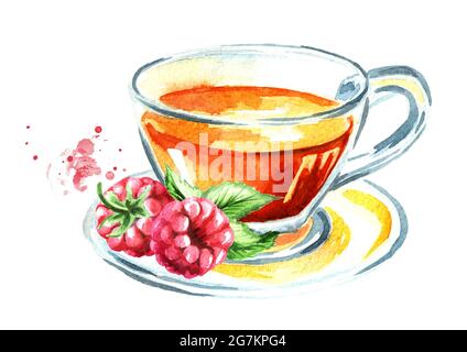 Thé santé. Tasse de thé aux framboises. Illustration aquarelle dessinée à la main, isolée sur fond blanc Banque D'Images