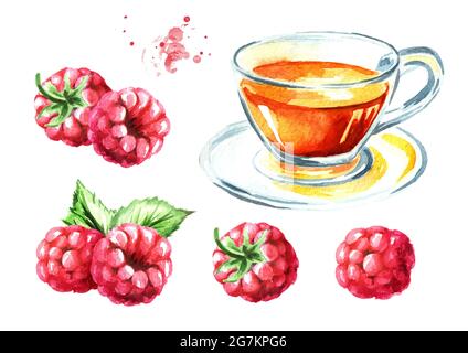 Set de thé santé. Tasse de thé aux framboises. Aquarelle illustration dessinée à la main isolée sur fond blanc Banque D'Images