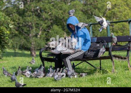 Northampton, Royaume-Uni. 15 juillet 2021. Gary Stone un lad local nourrissant les pigeons de report à Abington Park. Crédit : Keith J Smith./Alamy Live News Banque D'Images