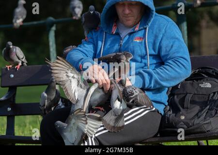 Northampton, Royaume-Uni. 15 juillet 2021. Gary Stone un lad local nourrissant les pigeons de report à Abington Park. Crédit : Keith J Smith./Alamy Live News Banque D'Images