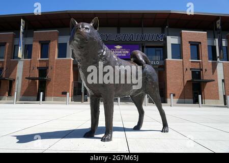 Une vue générale de la statue de chien Husky à l'entrée Dawg Pack du Husky Stadium sur le campus de l'université de Washington, le mercredi 14 juillet 2021, Banque D'Images