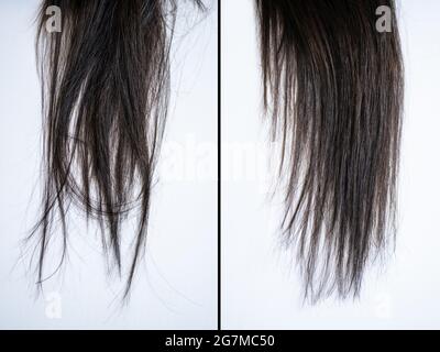 Les cheveux de la femme avant et après lissage des cheveux sur fond gris Banque D'Images