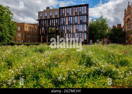 Le bâtiment Beecroft, vu des parcs universitaires d'Oxford, fait partie du département de physique d'Oxford. Conçu par Hawkins/Brown, ouvert en 2018 Banque D'Images