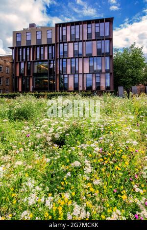 Le bâtiment Beecroft, vu des parcs universitaires d'Oxford, fait partie du département de physique d'Oxford. Conçu par Hawkins/Brown, ouvert en 2018 Banque D'Images