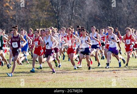 Wappinger Falls, New York, États-Unis - 23 novembre 2019 : un grand groupe de garçons de lycée se battent sur 5 km au début d'un championnat de cross-country. Banque D'Images