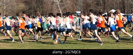 Wappinger Falls, New York, États-Unis - 23 novembre 2019 : vue latérale du début d'une course de cross-country de 5K pour garçons avec des centaines de coureurs concurrents Banque D'Images