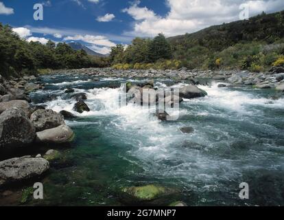 Nouvelle-Zélande. Île du Nord. Parc national de Tongariro. Rapides de Mahuia. Banque D'Images