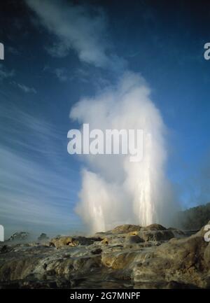 Nouvelle-Zélande. Île du Nord. Rotorua. Whakarewarewa. Geyser Pohutu. Banque D'Images