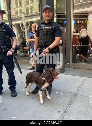 NYPD K9 patrouille de police sur Broadway à Manhattan avec un chien de chasse à la bombe pendant un défilé. Banque D'Images