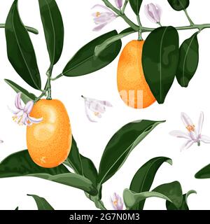 Motif exotique sans couture avec fruits kumquat, fleurs et feuilles. Fruits tropicaux Fortunella. Illustration de Vecteur