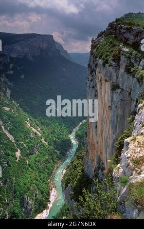 FRANCE. PROVENCE. ALPES DE HAUTE PROVENCE (04) GORGES DU VERDON Banque D'Images