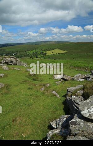 Vue d'été Yar tor vers Babeny, parc national de Dartmoor, Devon, Angleterre, Royaume-Uni Banque D'Images