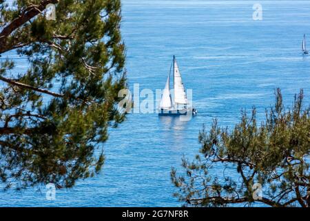 FRANCE, ALPES-MARITIMES (06) SAINT-JEAN-CAP-FERRAT Banque D'Images