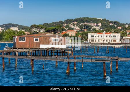 FRANCE, VAR (83) LA SEYNE-SUR-MER, TAMARIS CORNICHE, HUTTES SUR PILOTIS, ENTOURÉES DE MOULES, DONNENT UN AIR DE LA BAIE ORIENTALE. Banque D'Images