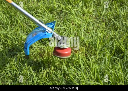 Processus de coupe de l'herbe verte avec le coupe-herbe dans le jardin. La tête rotative avec ligne de pêche rouge coupe l'herbe. Tondeuse à essence. Banque D'Images