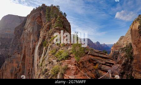 Le parc national de Zion est un parc national américain situé dans le sud-ouest de l'Utah, près de la ville de Springdale. Banque D'Images