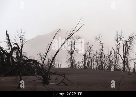 Des maisons et des arbres endommagés sont couverts de cendres volcaniques après l'éruption du volcan Taal dans la province de Batangas, au sud de Manille, aux Philippines. Le volcan Taal est une grande caldeira remplie par le lac Taal aux Philippines. Situé dans la province de Batangas, le volcan est l'un des volcans les plus actifs du pays, avec 34 éruptions historiques enregistrées, toutes concentrées sur l'île Volcano, près du milieu du lac Taal. La dernière éruption a eu lieu le 12 janvier 2020. Philippines. Banque D'Images