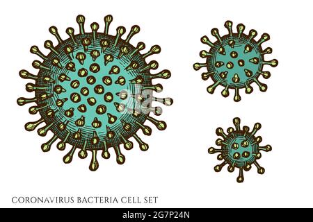 Ensemble de vecteurs de cellules de bactéries coronavirus colorées dessinées à la main Illustration de Vecteur