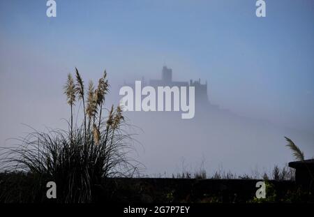 Le mont St Michaels a vu à travers une brume de mer avec une herbe de pampas au premier plan à Marazion près de Penzance, dans les Cornouailles Banque D'Images