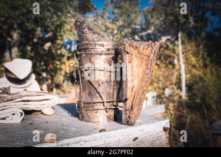 fumeur de métal pour pider et calmer les abeilles sur une ruche à utiliser pour recueillir le miel du peigne avec une focalisation sélective Banque D'Images