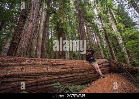 Une randonneur femelle se penchait contre un tronc d'arbre de séquoias (Sequoia sempervirens) dans le parc régional de séquoias Jedediah smith, en Californie du Nord, aux États-Unis. Banque D'Images