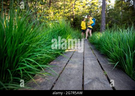 Belle piste en bois avec herbe verte menant au lac alpin Egelsee en Carinthie, mère et fils marchant vers le lac en Autriche Banque D'Images