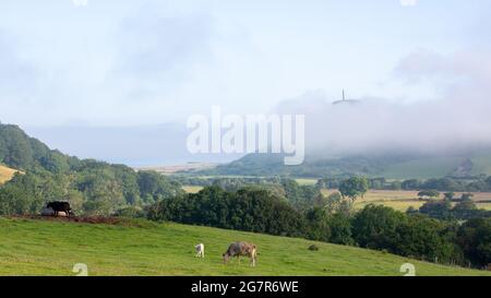 Rhydyfelin, Ceredigion, pays de Galles, Royaume-Uni. 16 juillet 2021 Royaume-Uni Météo: Matin ensoleillé à Ceredigion avec brume dans les vallées comme vu à Rhydyfelin, Aberystwyth, pays de Galles. © Ian Jones/Alamy Live News Banque D'Images