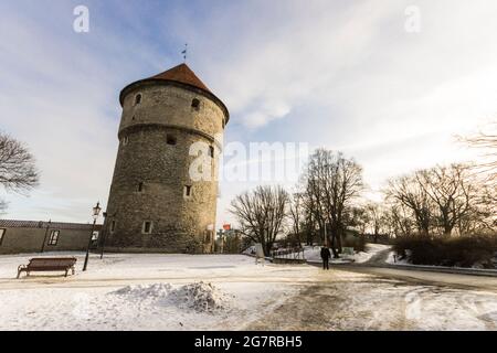 Tallinn, Estonie. Le Kiek de Kok, une tour d'artillerie faisant partie des fortifications et des murs de la vieille ville de Tallinn Banque D'Images