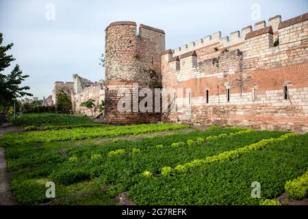 Murs byzantins historiques et jardins potagers, Istanbul Banque D'Images