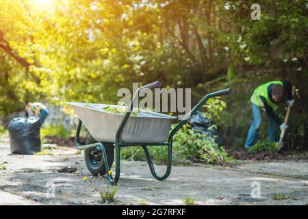 brouette de jardin avec feuilles ou parc de nettoyage de la ville au printemps à la journée ensoleillée Banque D'Images